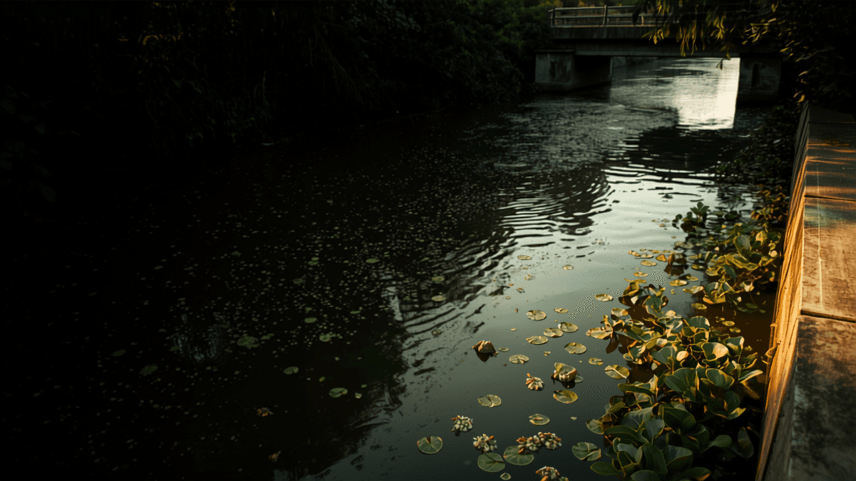 Spot mancing liar Jabodetabek yang masih aktif